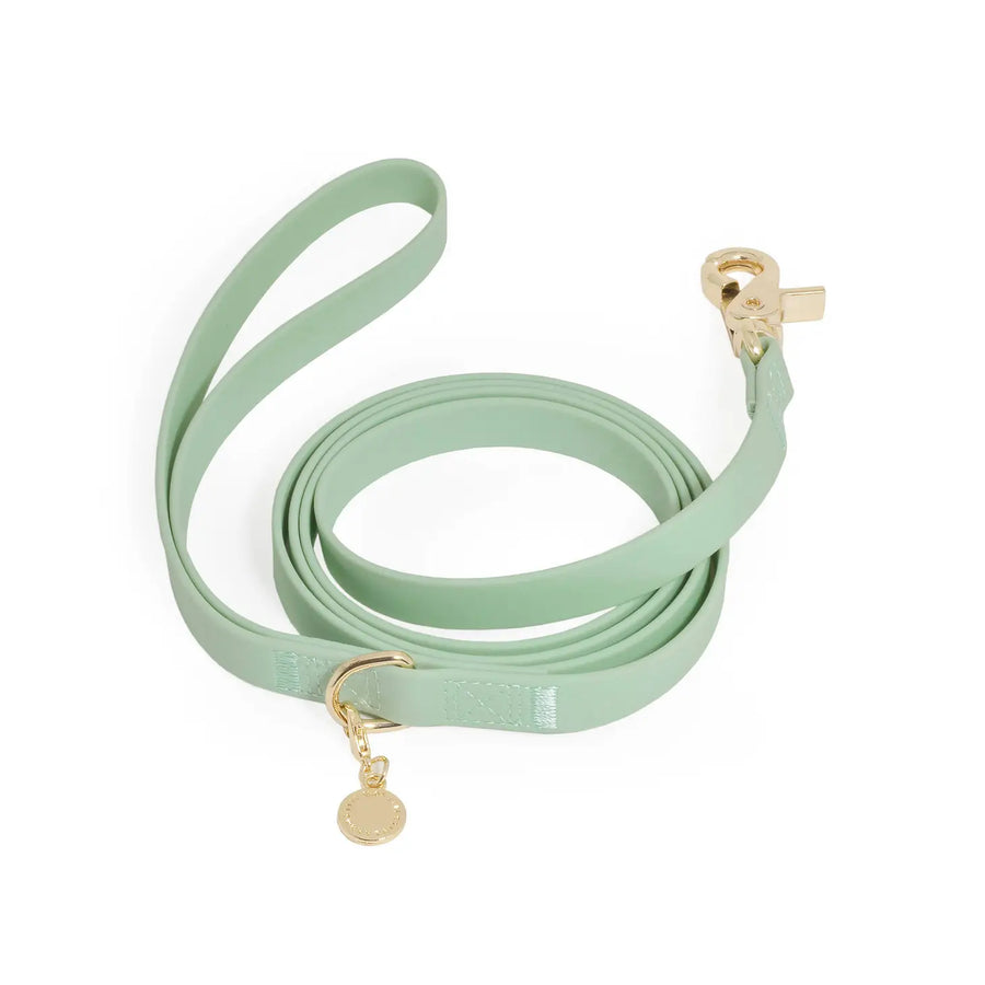 Waterproof Cloud Leash