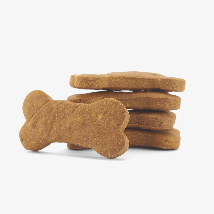 Grain & Gluten-Free Pumpkin Dog Biscuits