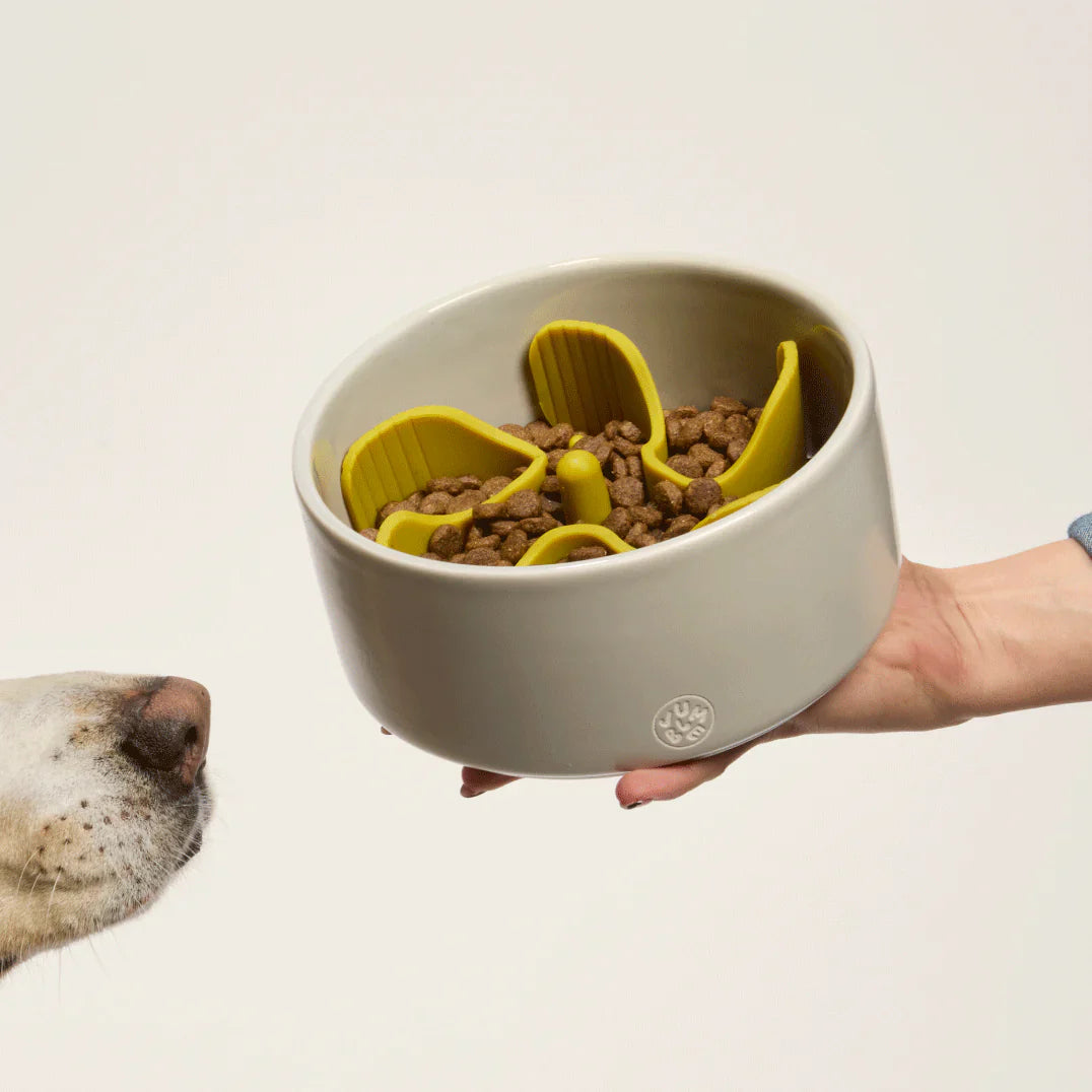 Jumble Pets