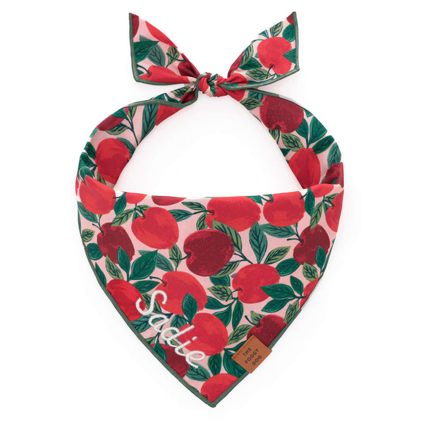 Apple of My Eye Fall Dog Bandana