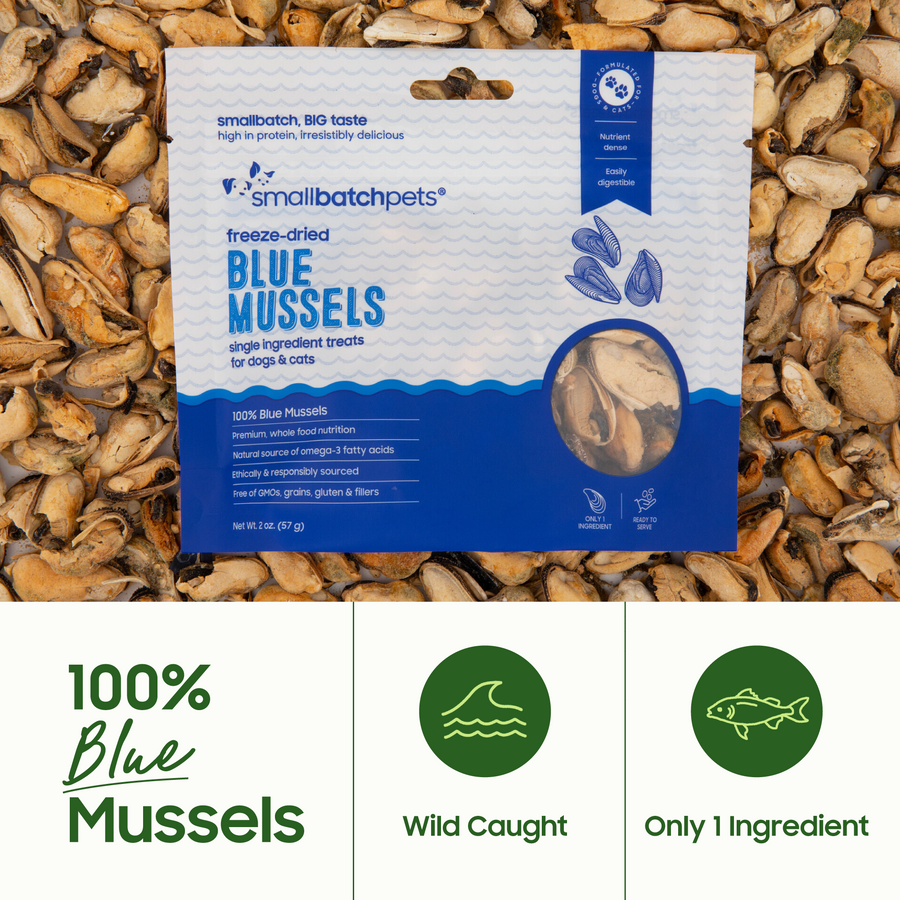 Freeze-Dried Blue Mussel Treats — image 2