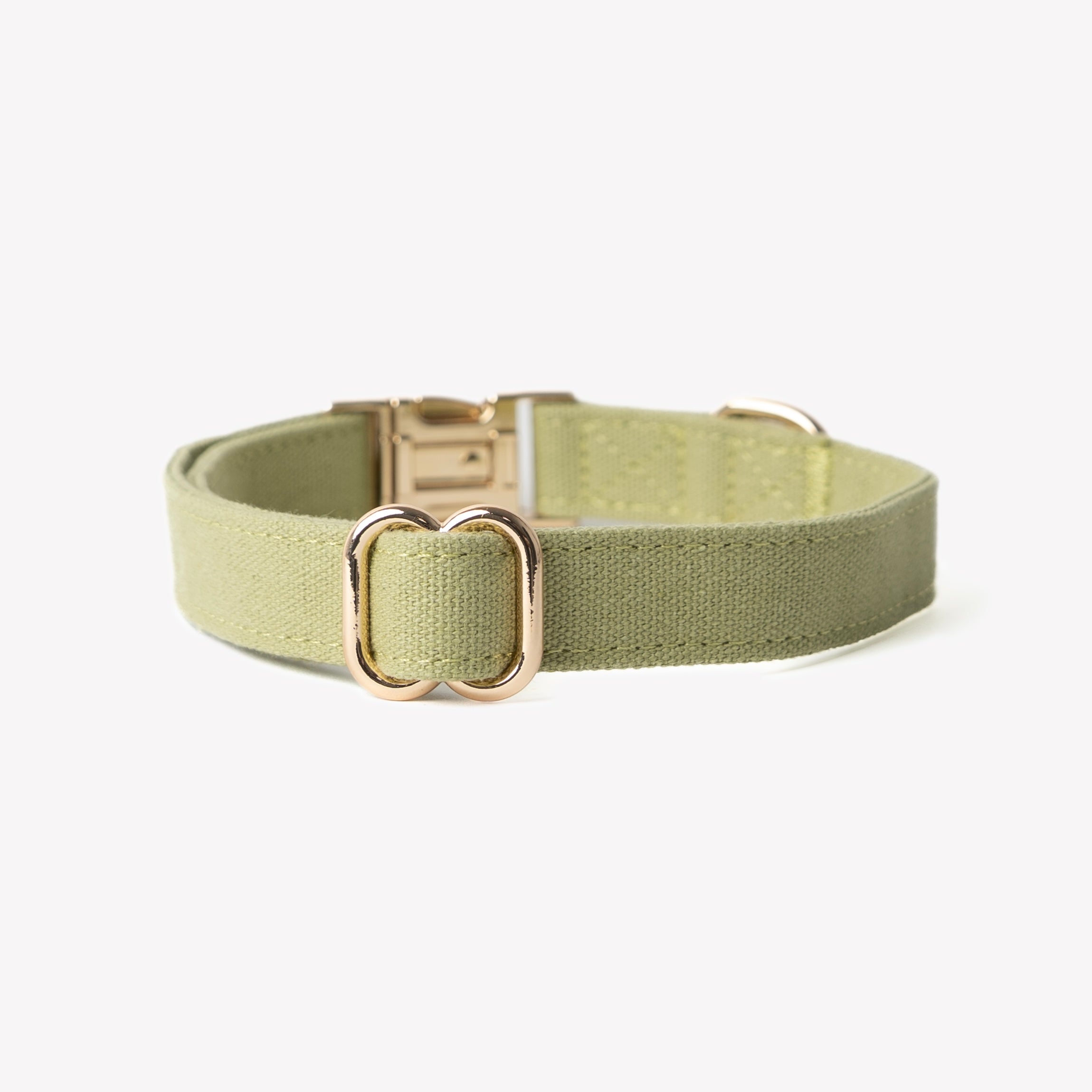 Canvas Dog Collar - Green