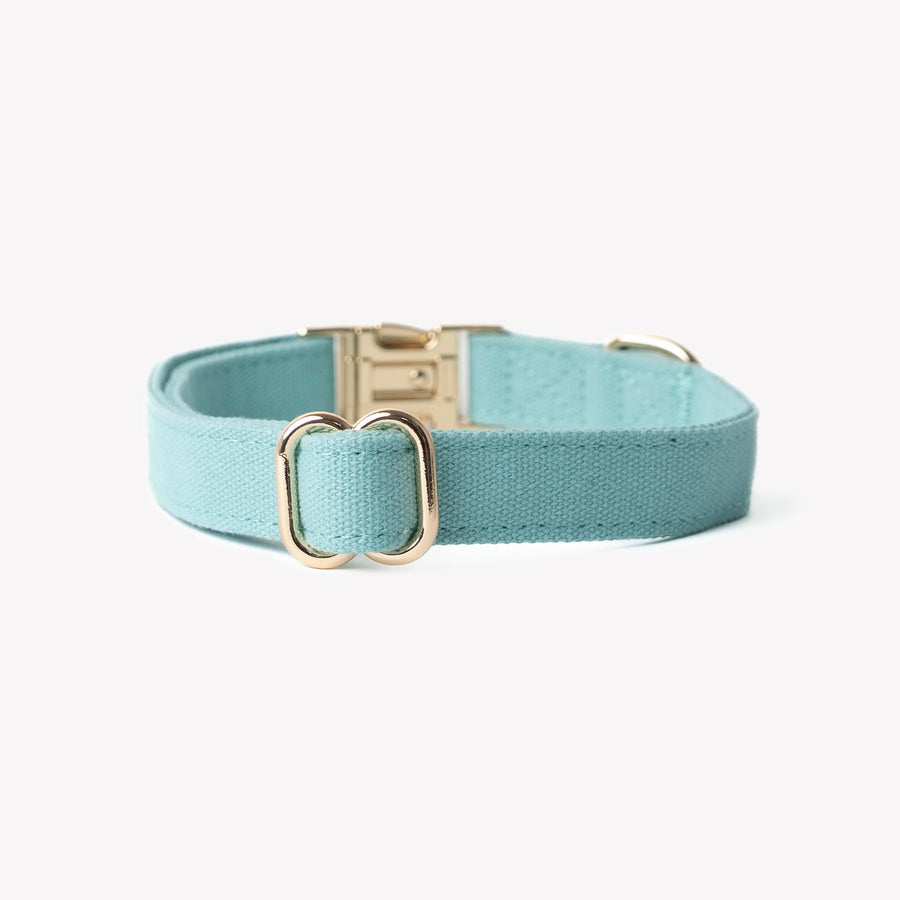 Canvas Dog Collar - Blue