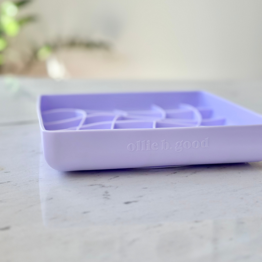 Viola 4