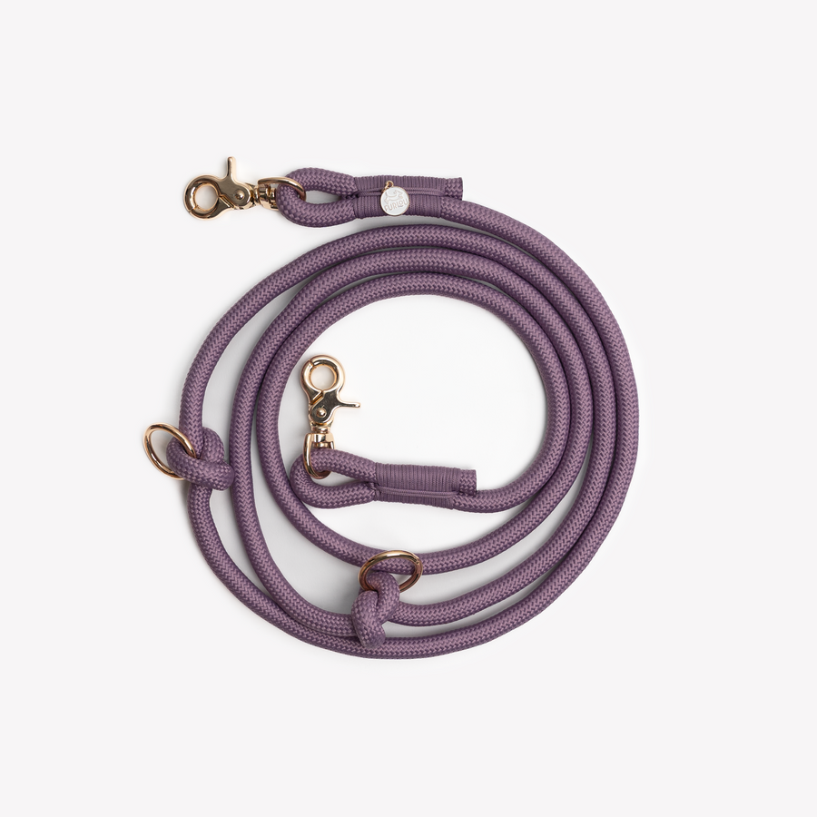 Hands Free Braided Leash - Lilac
