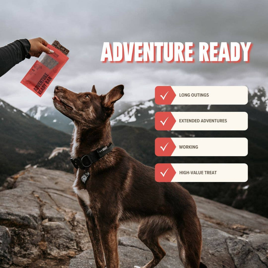 Beef Treat & Snack Bar for Active Dogs - Energy & Recovery