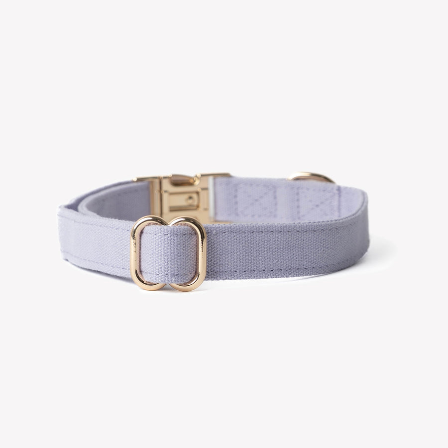Canvas Dog Collar - Lavender