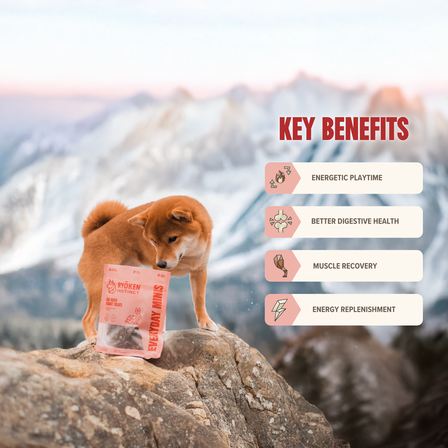 Rabbit Mini Training Treats for Dogs - Low-Calorie & Tasty