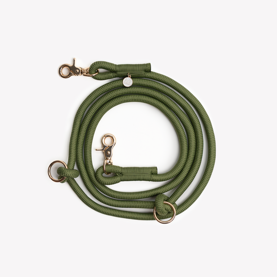 Hands Free Braided Leash - Green