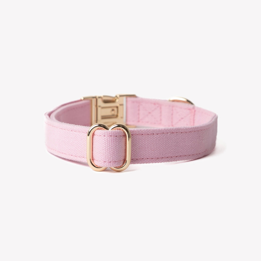 Canvas Dog Collar - Pink