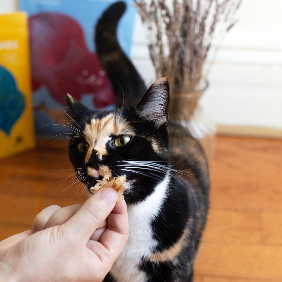 Umami Treats - Bonito Flakes for Cats and Dogs