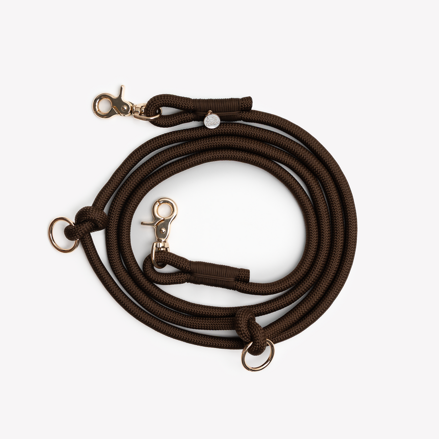 Hands Free Braided Leash - Brown