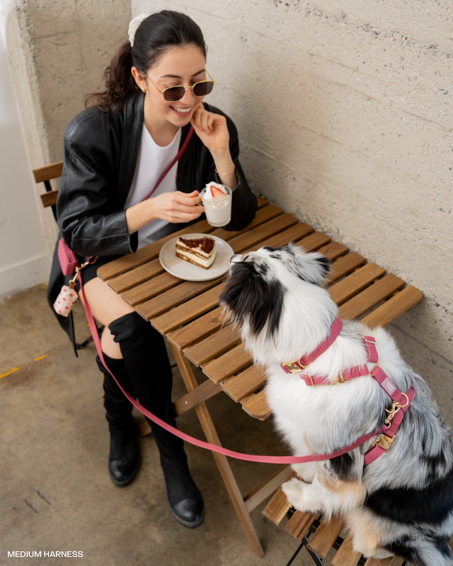 Snap Dog Treat Pouch