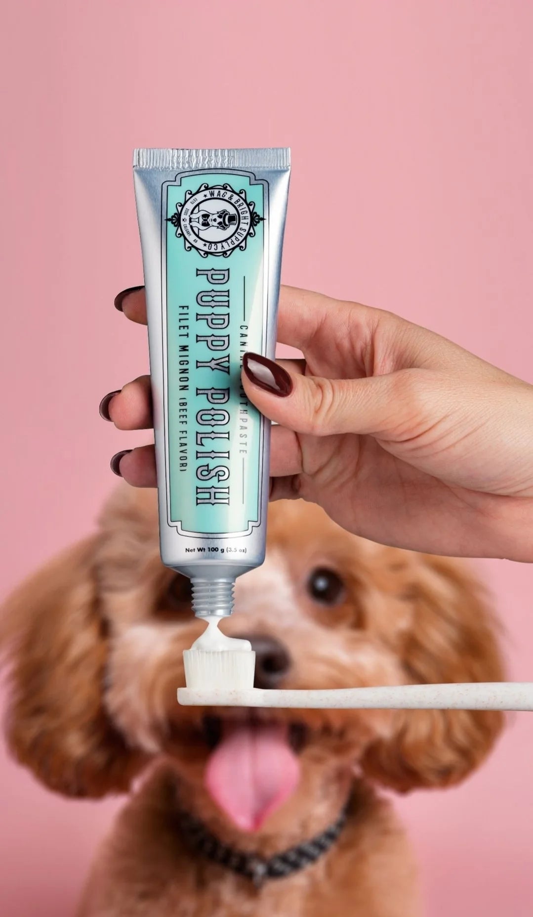 Puppy Polish Toothpaste