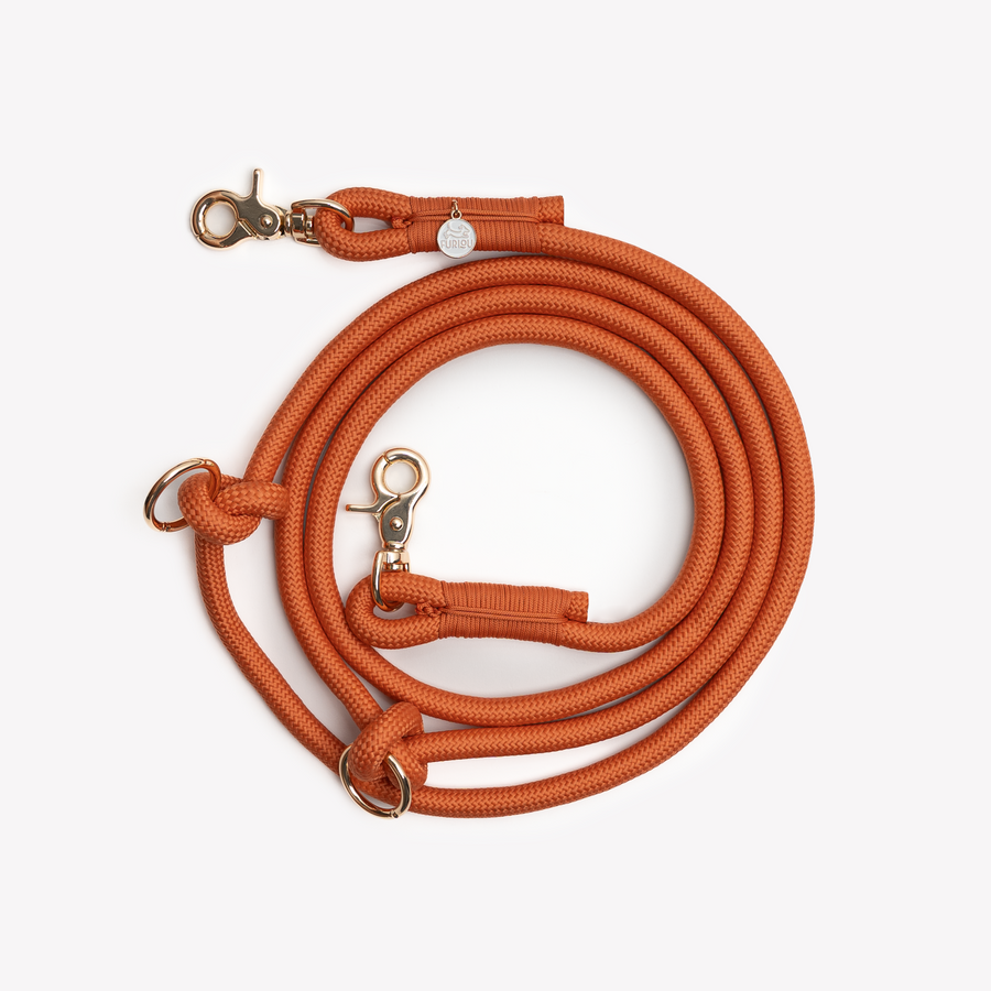 Hands Free Braided Leash - Terracotta