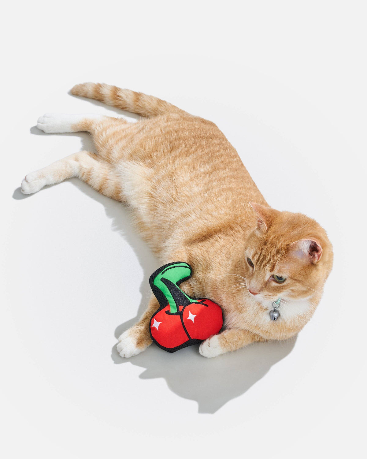 Cat playing with the Wild One Playful Plush Cat Toy in Cherry