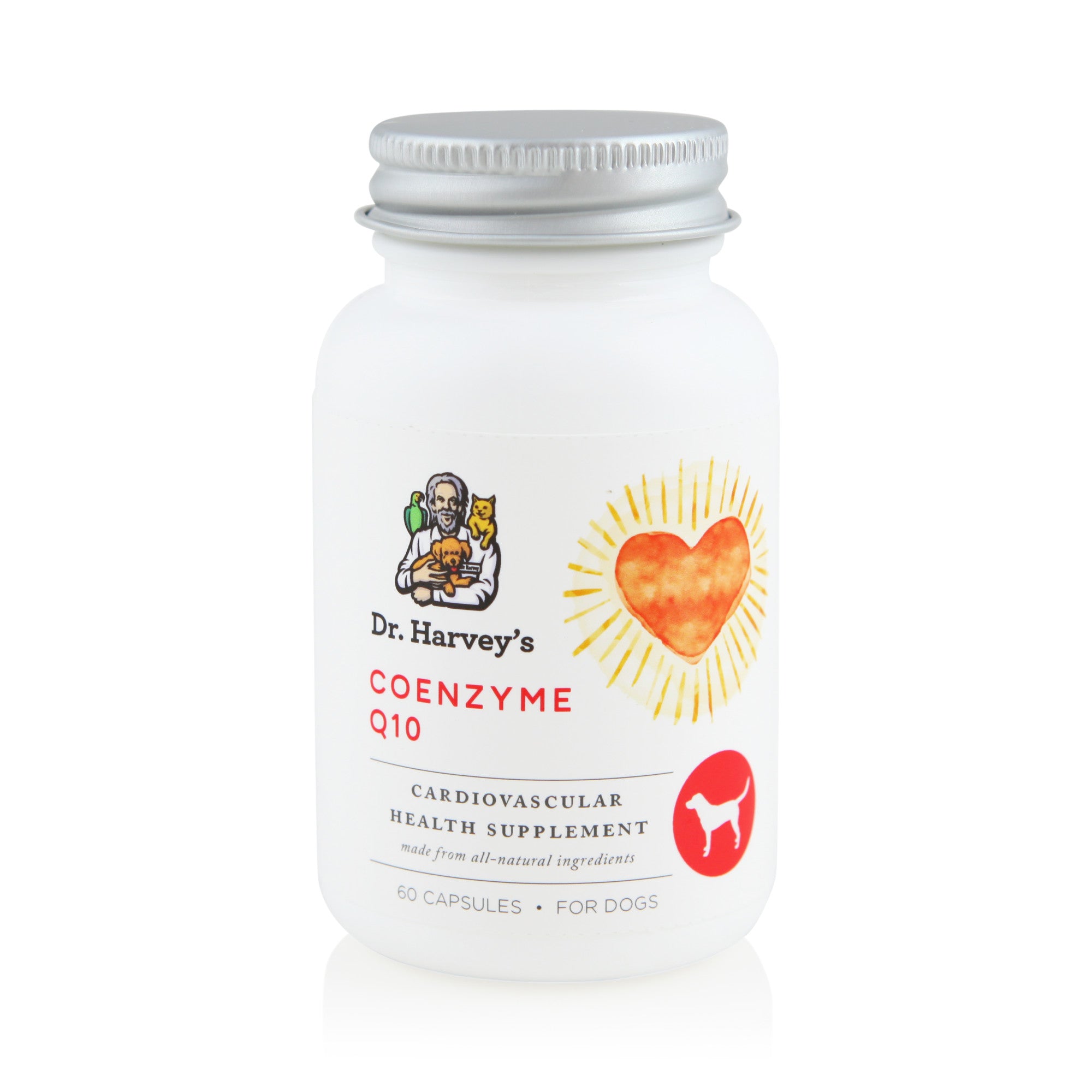 Coenzyme Q10 - Heart Supplements for Dogs