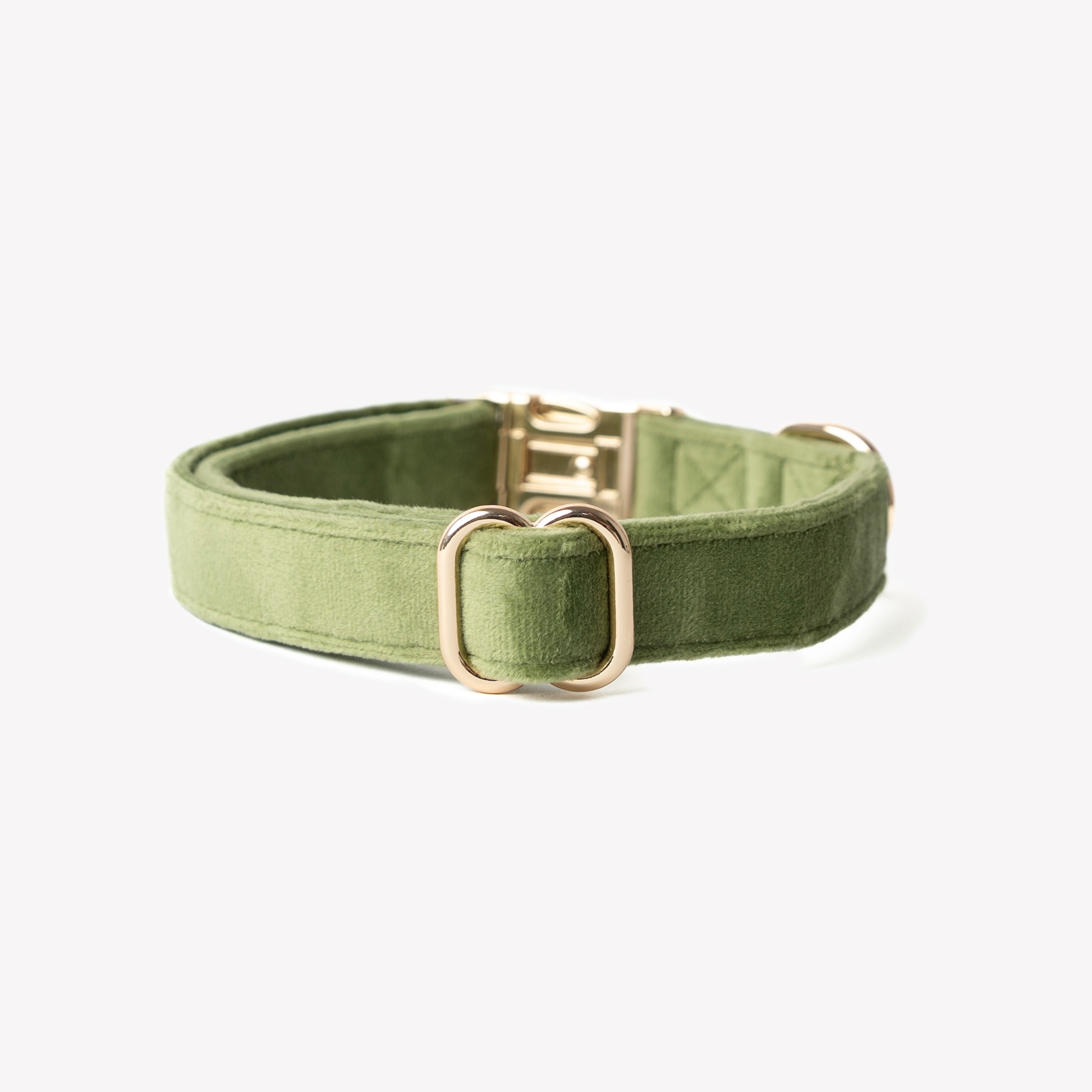 Velvet Dog Collar - Green