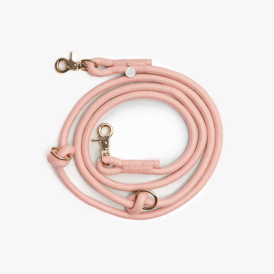 Hands Free Braided Leash - Powder Rose