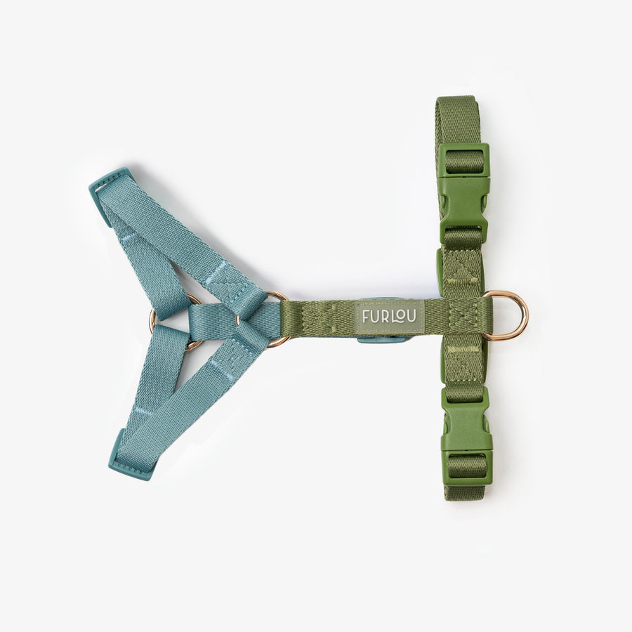 Dog Harness - Blue and Green