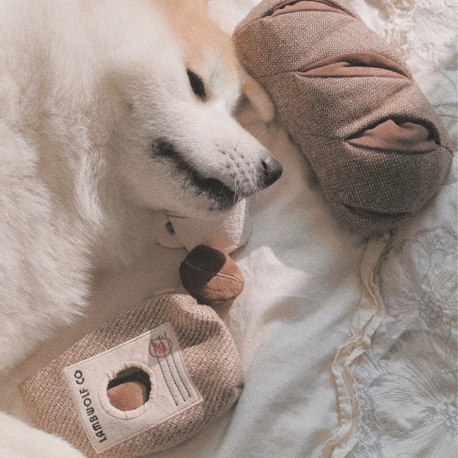 Rye Enrichment Dog Toy