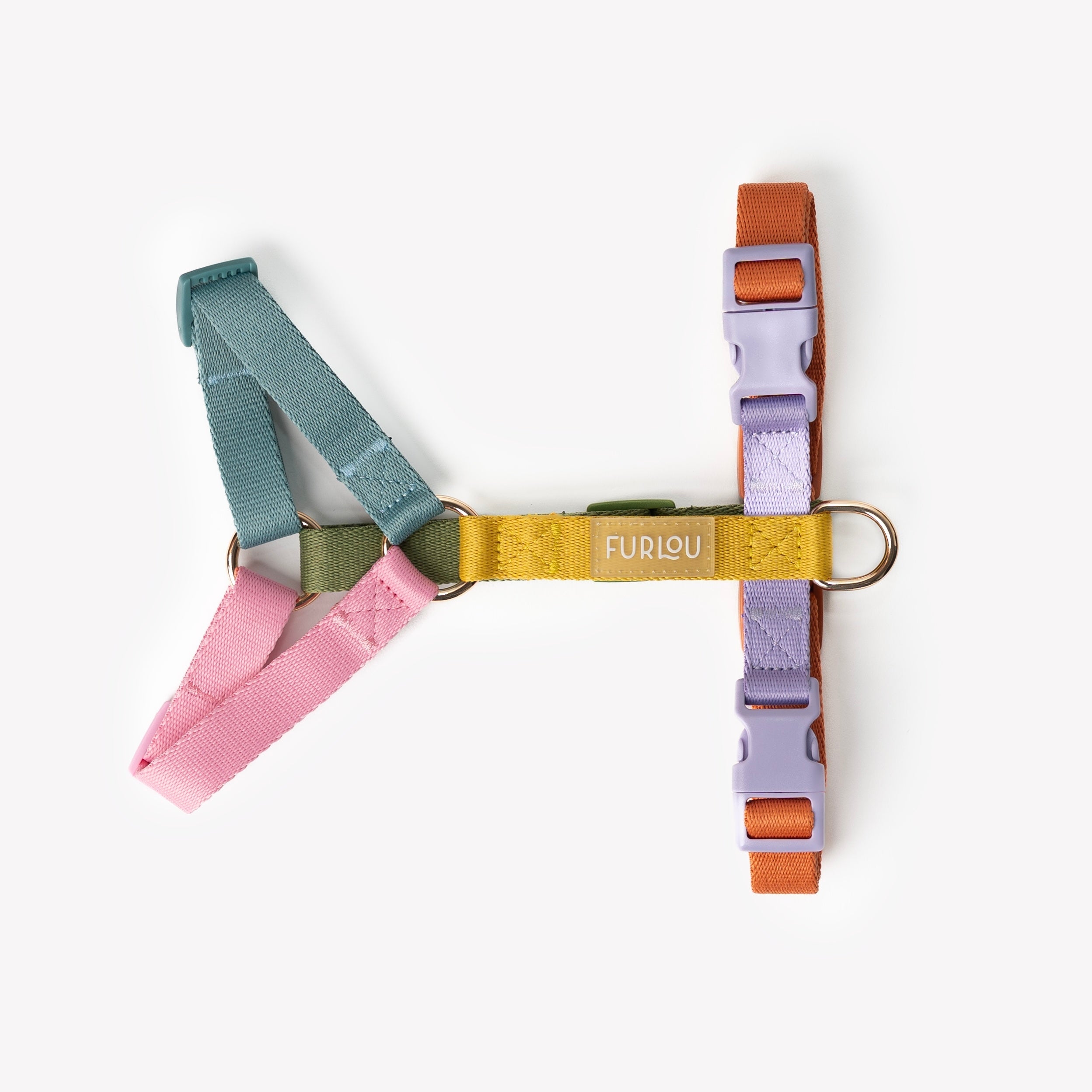 Dog Harness - Rainbow