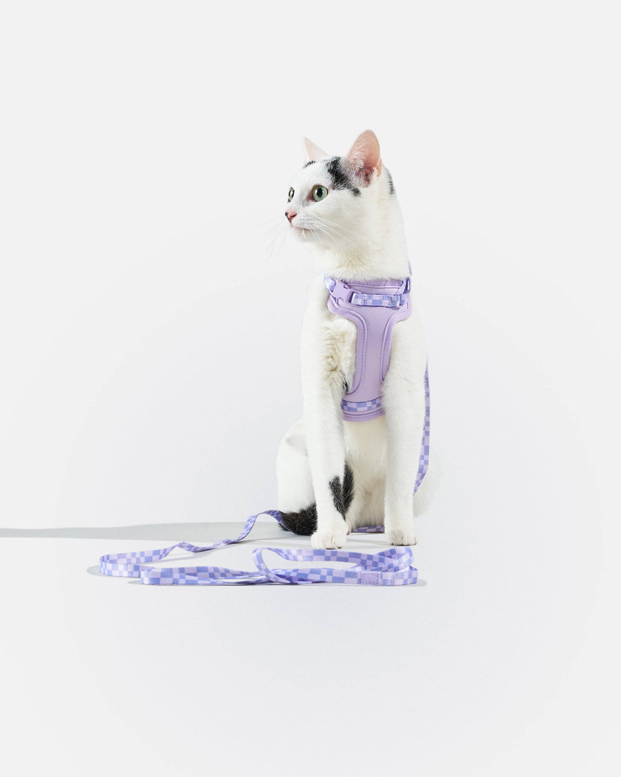 Wild One Cat Harness & Leash