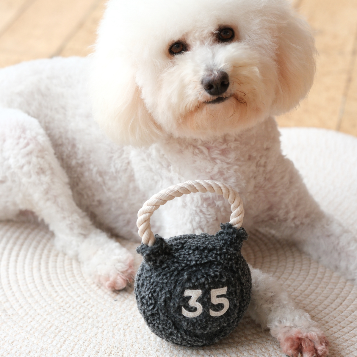 Kettlebell Enrichment Dog Toy studio shot