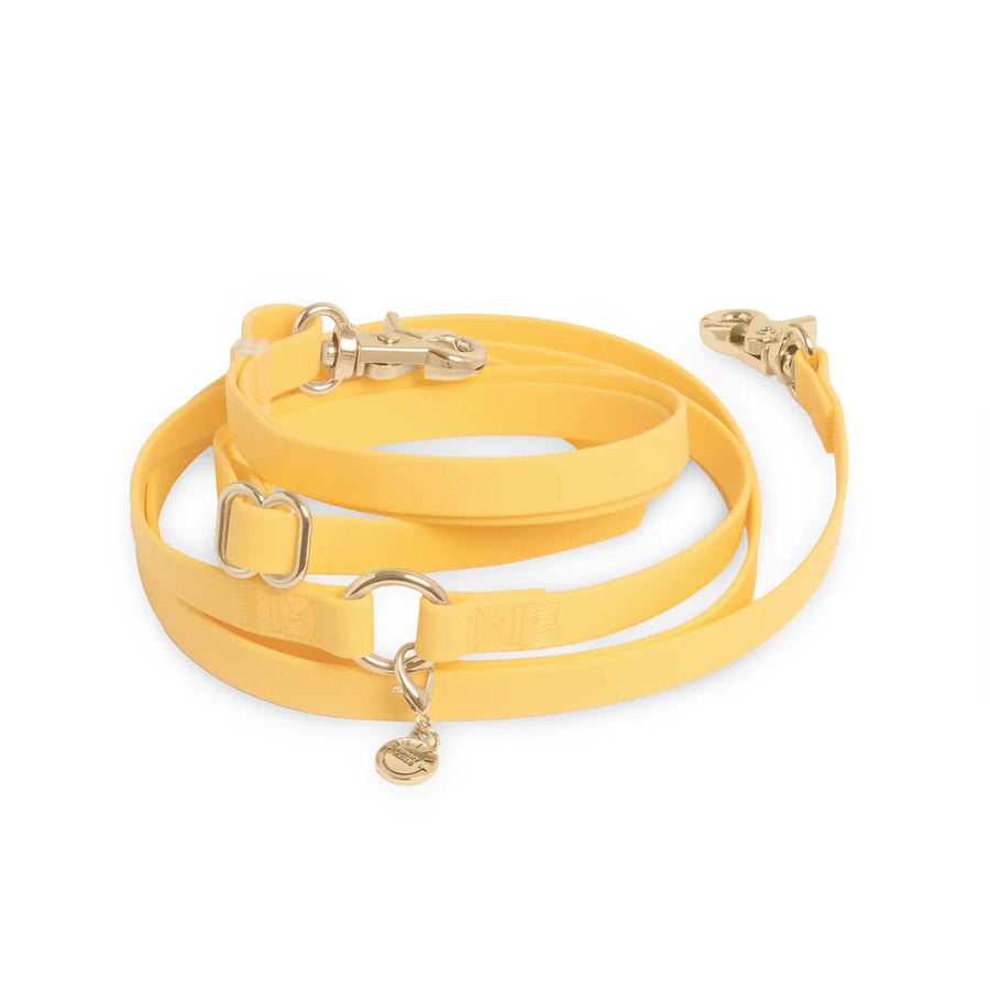 4-in-1 Convertible Hands Free Cloud Dog Leash
