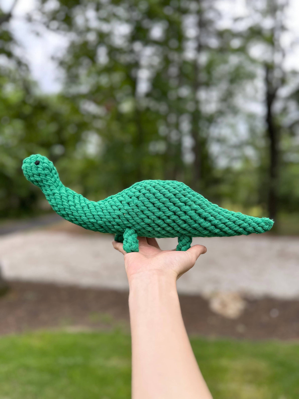 Hand holding the Large Rex the Green Dinosaur Rope Toy outdoors