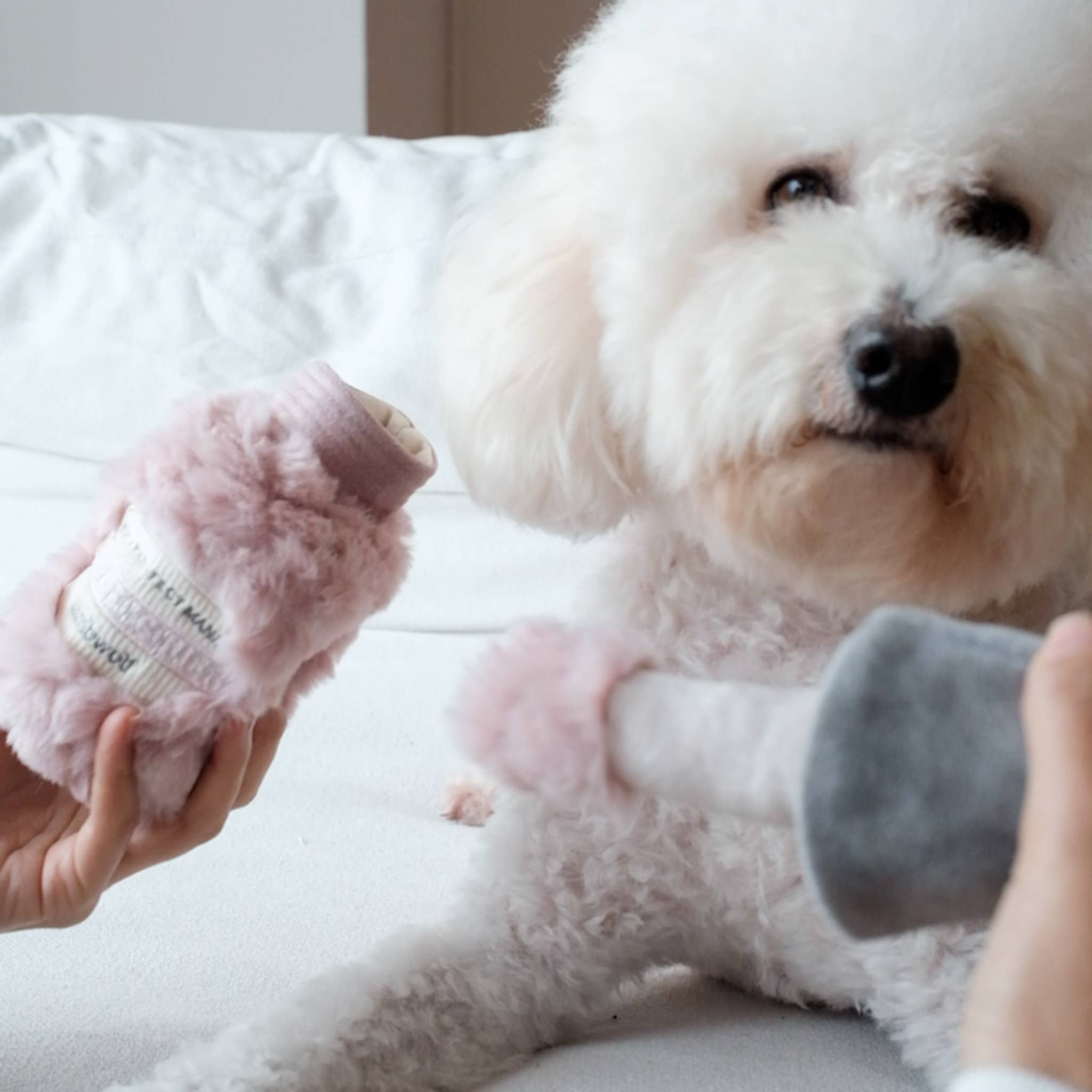 Nail Polish Enrichment Dog Toy