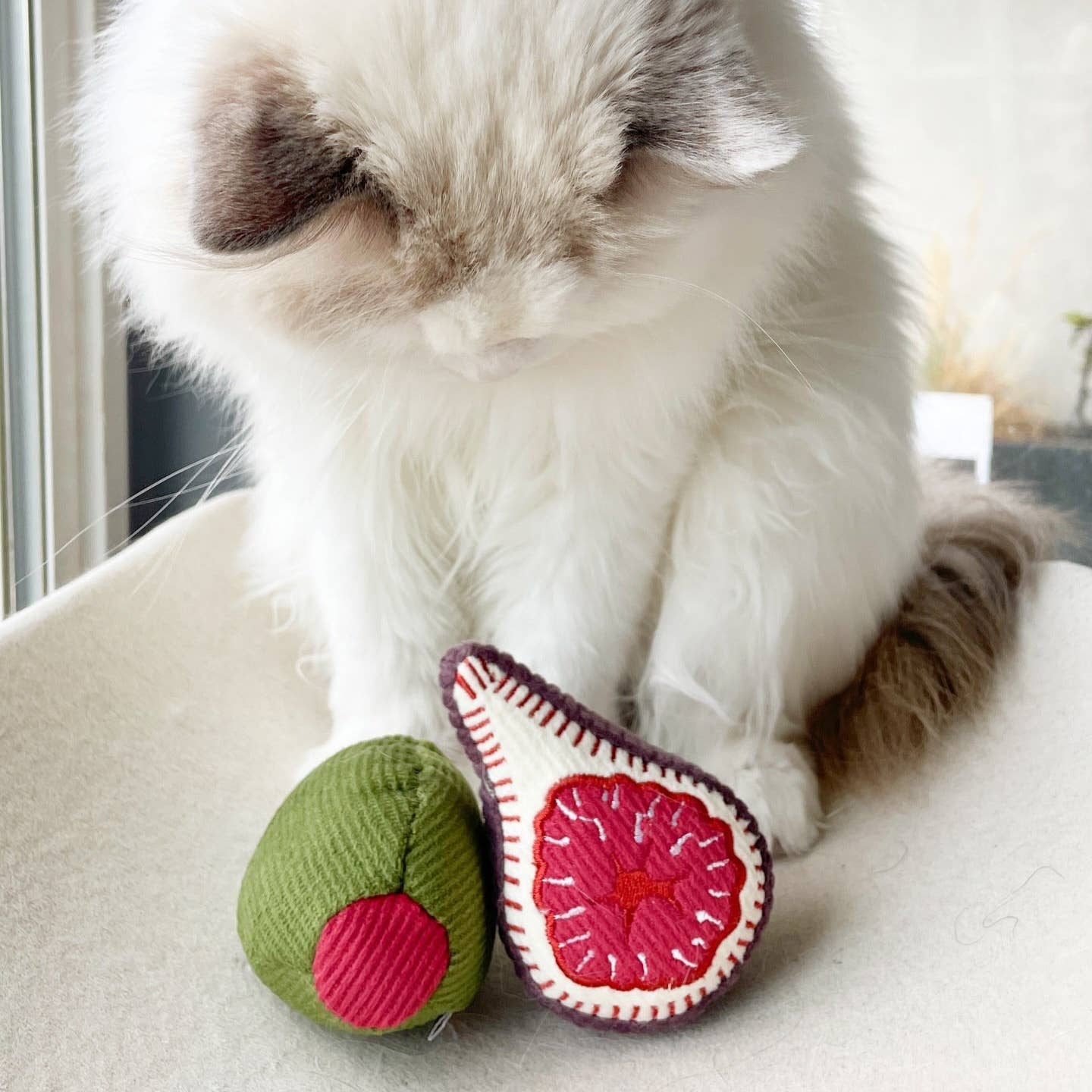 Kitty Olive + Fig Cat Toy