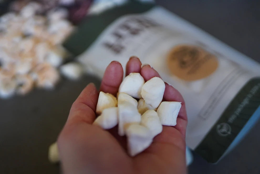 Freeze-Dried Scallops