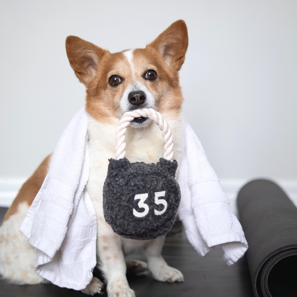 Kettlebell Enrichment Dog Toy studio shot