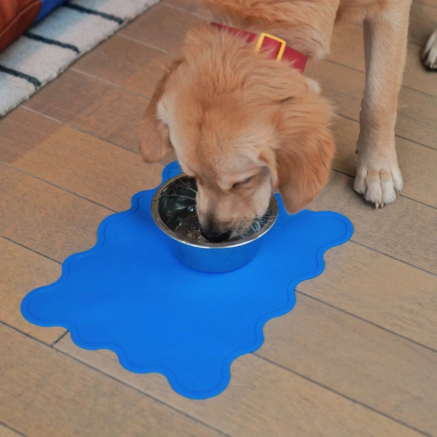 The Fritz Dog Bowl Mat