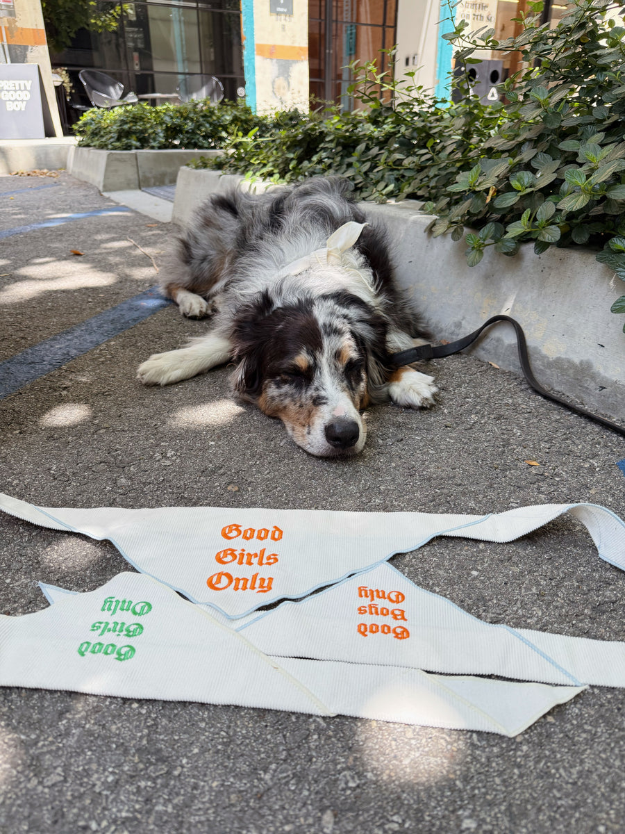 The Willie Bandana