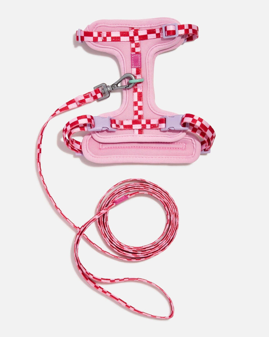 Wild One Cat Harness & Leash