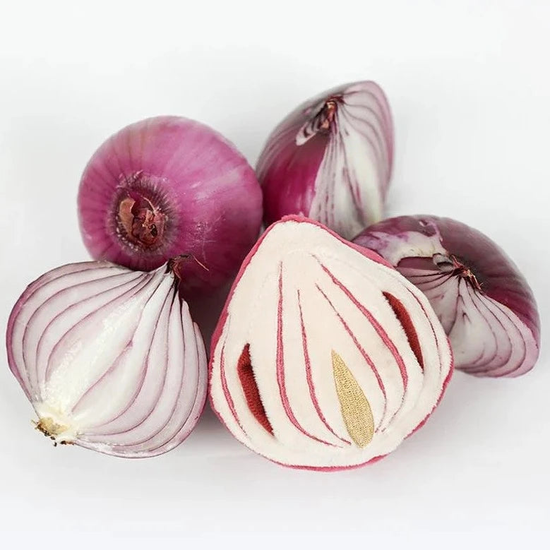 Half Onion Nosework Toy