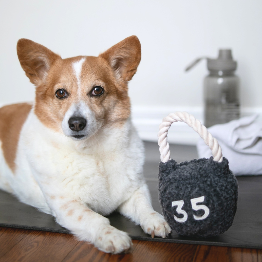 Kettlebell Enrichment Dog Toy studio shot