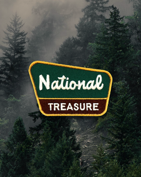National Treasure Iron-On Patch for Dogs and Cats
