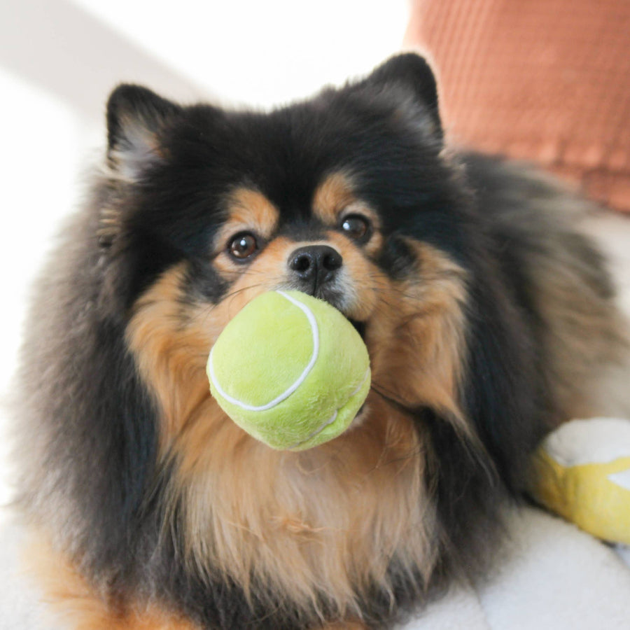 Tennis Pop Enrichment Dog Toy