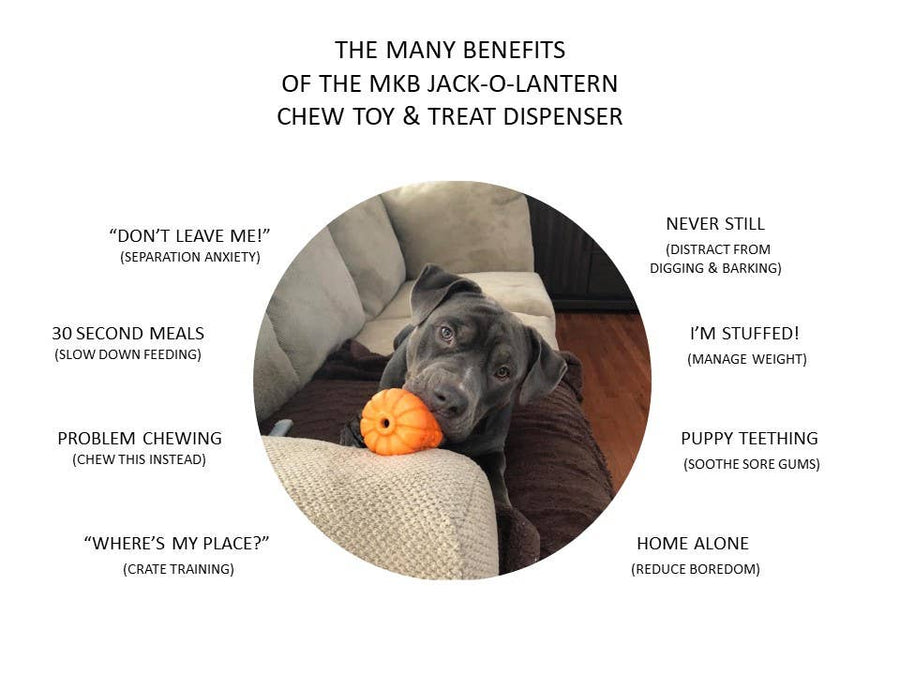 Halloween Jack O' Lantern Chew Toy Treat Dispenser
