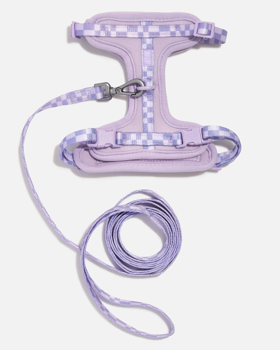 Wild One Cat Harness & Leash