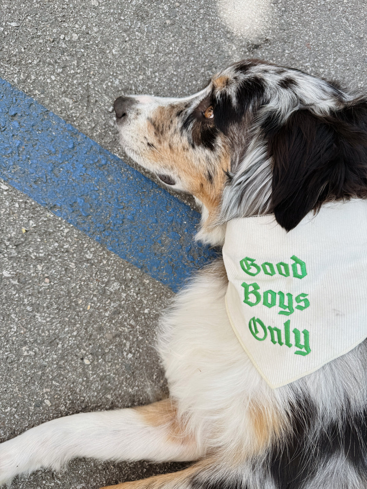 The Willie Bandana