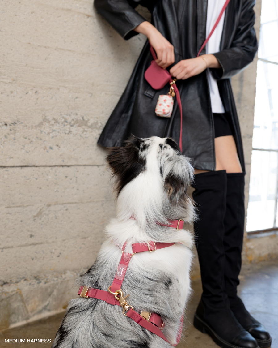 Snap Dog Treat Pouch