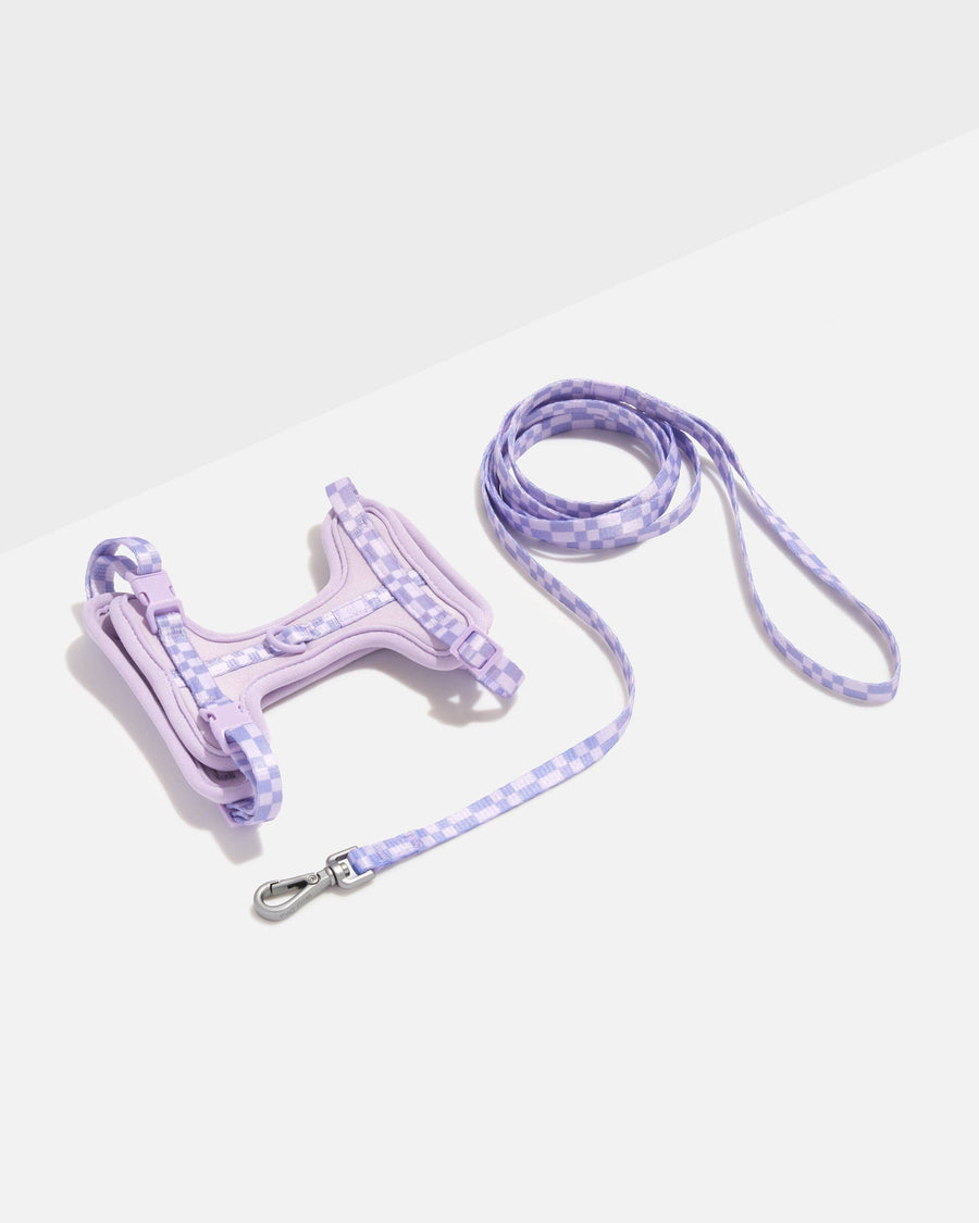 Wild One Cat Harness & Leash
