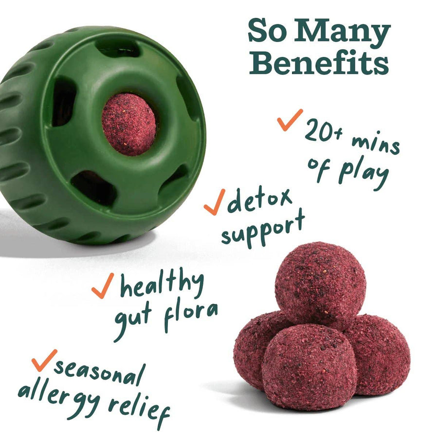 Allergy Support Wellness Pops