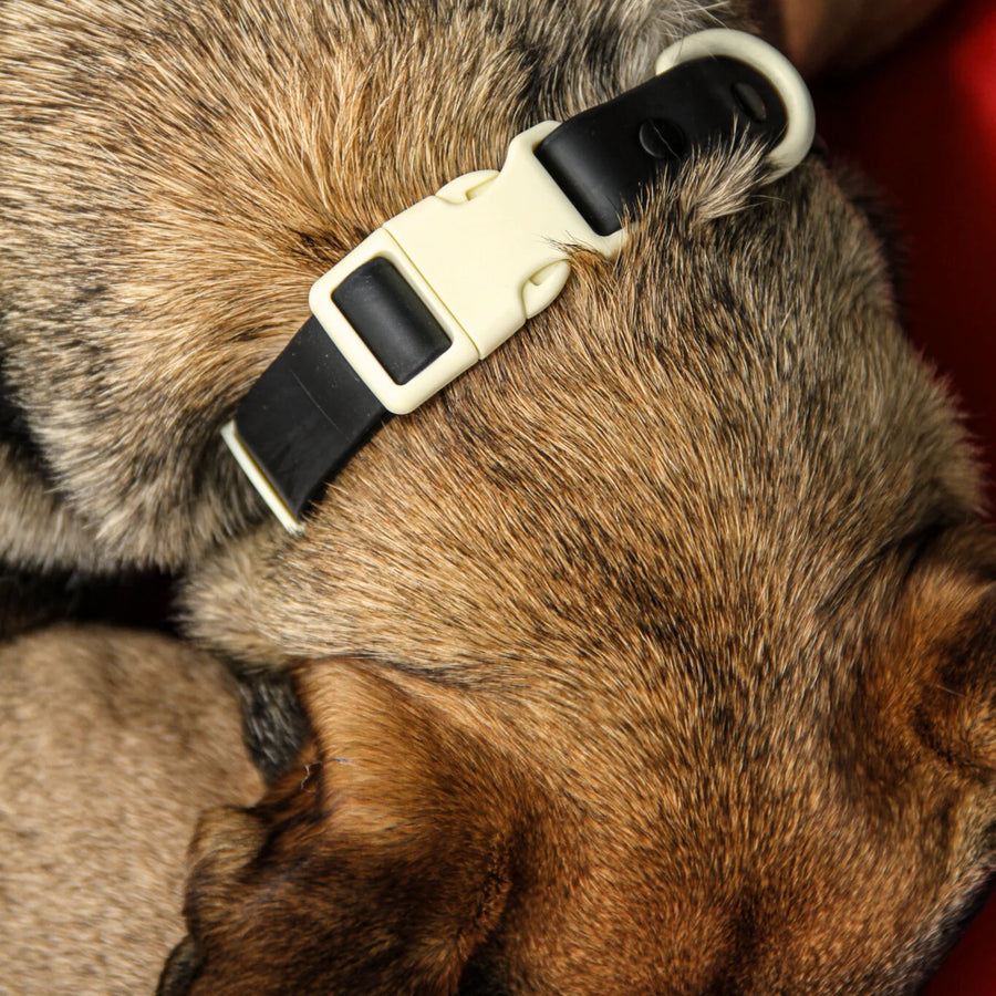 The Fritz Collar