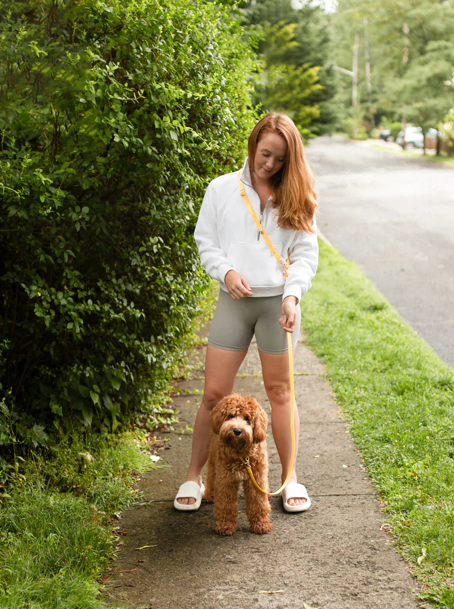 4-in-1 Convertible Hands Free Cloud Dog Leash