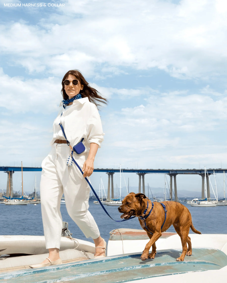 4-in-1 Convertible Hands Free Cloud Dog Leash